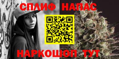 mdpv Краснознаменск