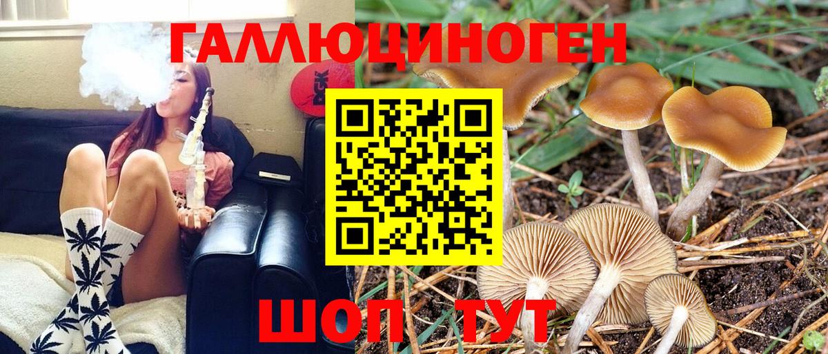 Котовск  Псилоцибиновые грибы Psilocybe  Вход с VPN 